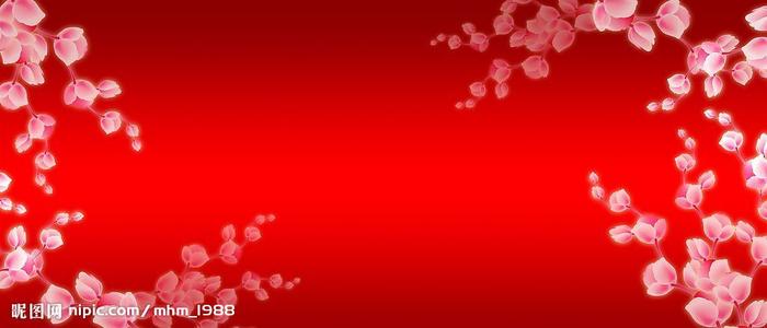 汉堡物流与企业管理技术大学商科文凭证书